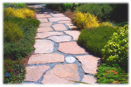 Marin Landscape Contractor