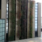Landscape Architecture Image 13