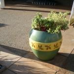 Planters and Pots in Marin Image 4