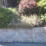 Retaining Walls in Marin Image 5
